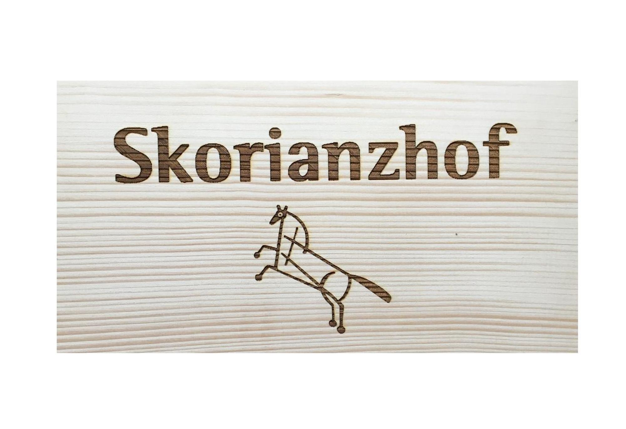 فندق Skorianzhof Eberndorf المظهر الخارجي الصورة