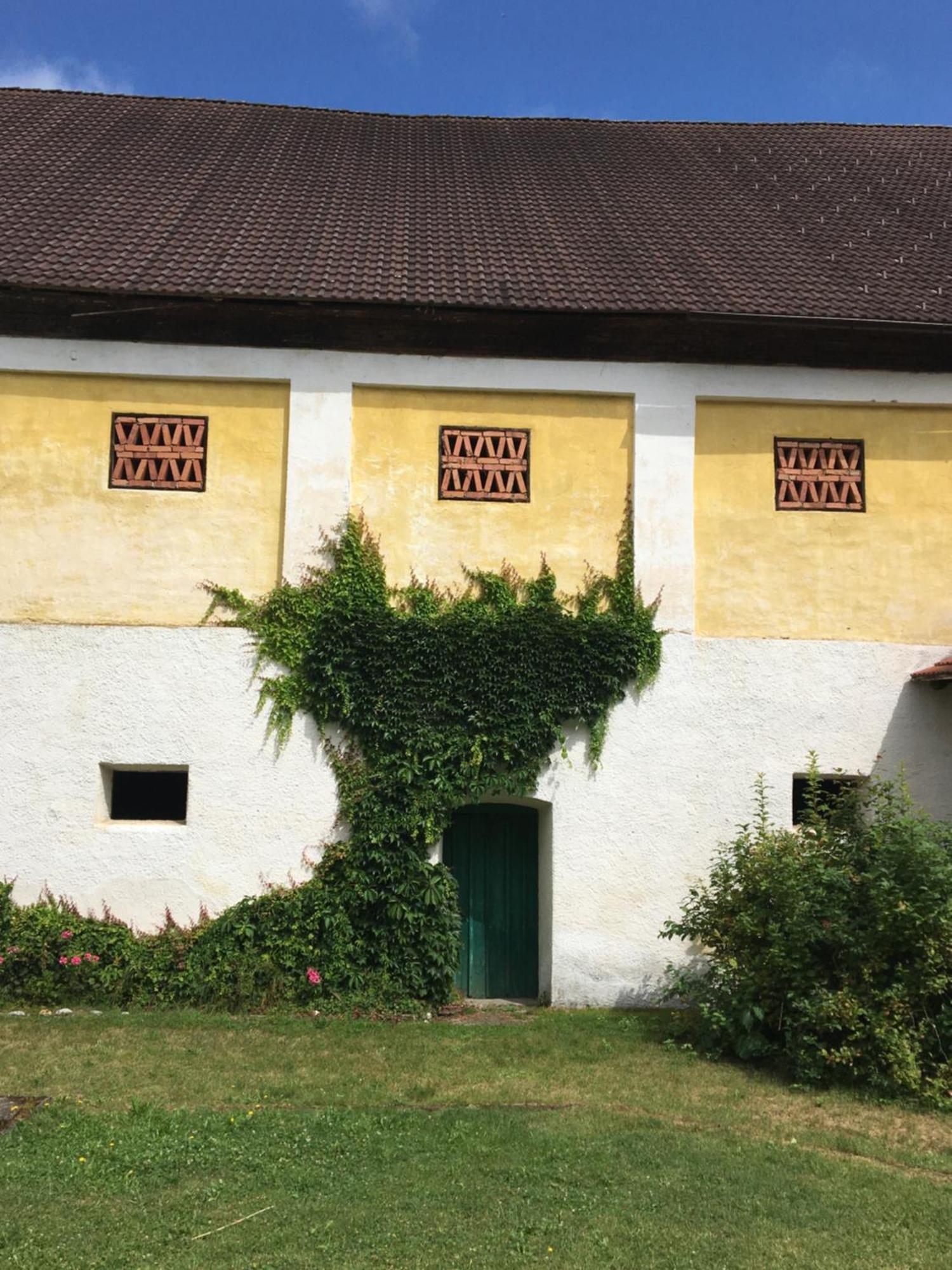 فندق Skorianzhof Eberndorf المظهر الخارجي الصورة