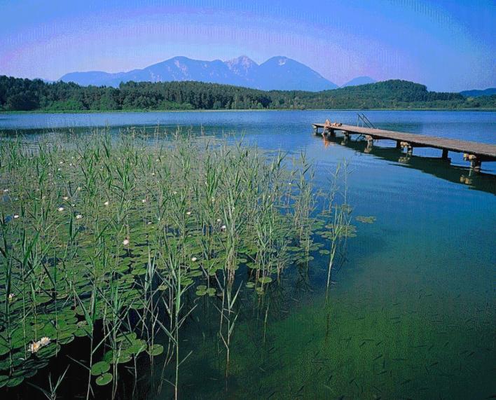 فندق Skorianzhof Eberndorf المظهر الخارجي الصورة
